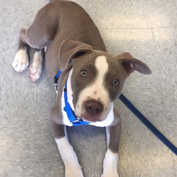 Meet your Posher, Valencia - Picture 6 of 6